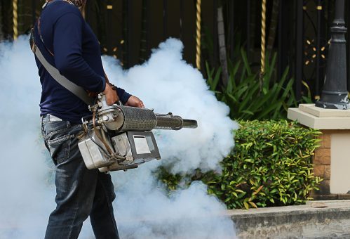 Man work fogging to eliminate mosquito for preventing spread dengue fever and zika virus